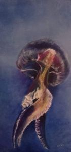 Voir le détail de cette oeuvre: Méduse colorée